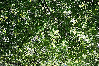 《暗黑：不朽》未提交战利品箱信息 被欧洲评级组织罚款