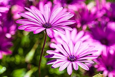 微软股价创历史新高 受益于ChatGPT等迅速走红